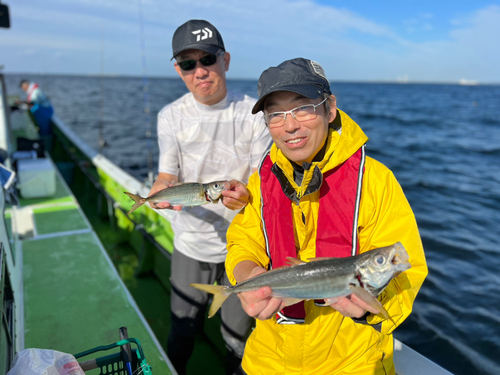 マアジの釣果