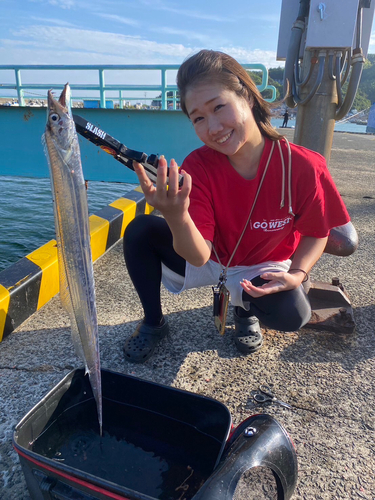 タチウオの釣果