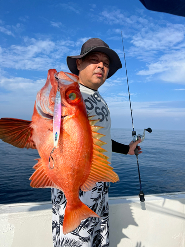 チカメキントキの釣果