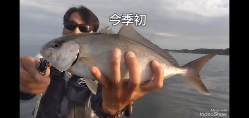 ショゴの釣果