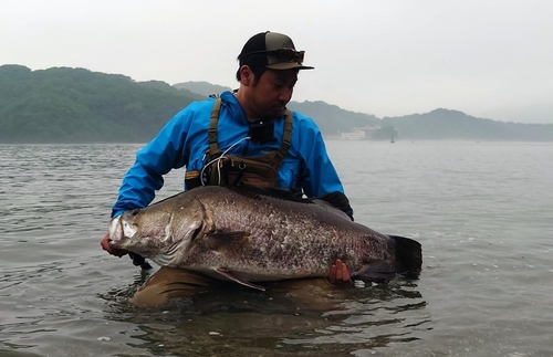 アカメの釣果