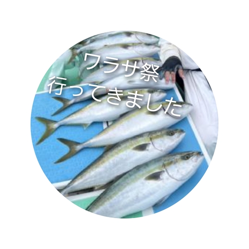 ワラサの釣果