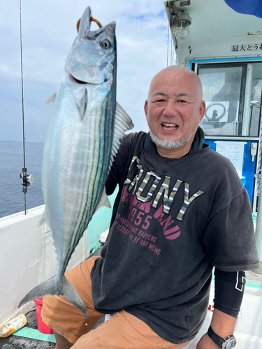 ハガツオの釣果