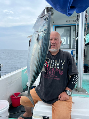 ハガツオの釣果