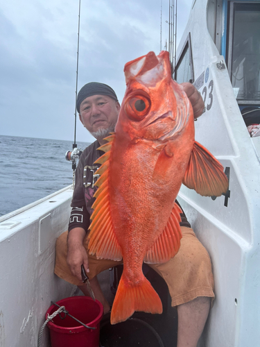 チカメキントキの釣果