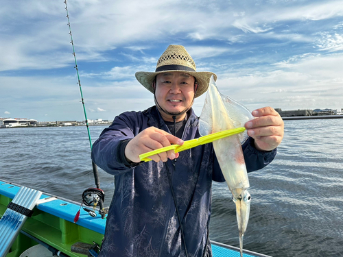 ヤリイカの釣果