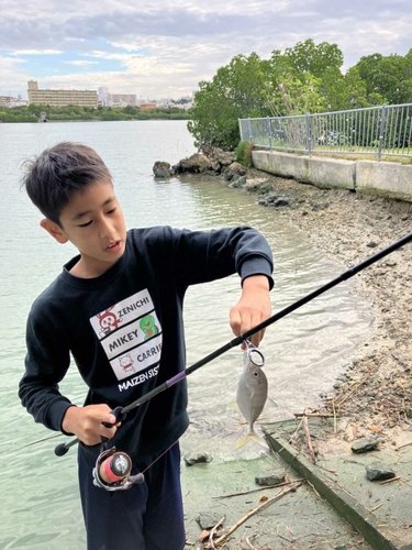 オニヒラアジの釣果