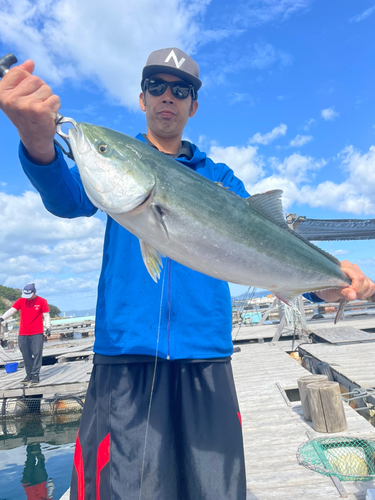 ブリの釣果