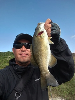 スモールマウスバスの釣果