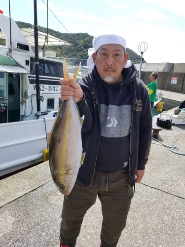 カンパチの釣果