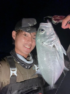 ギンガメアジの釣果