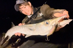 オニカマスの釣果