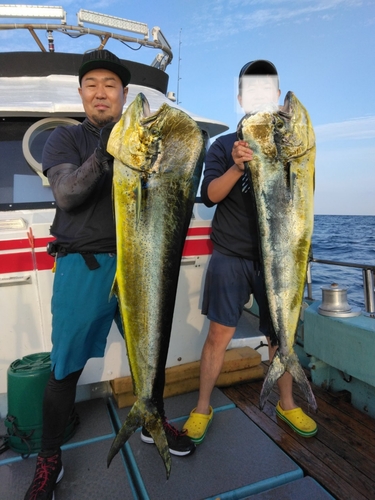 シイラの釣果