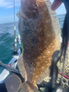 ガンゾウビラメの釣果