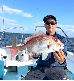 マダイの釣果