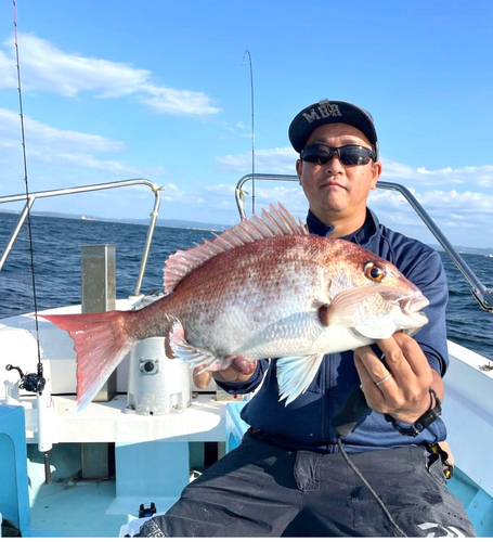 マダイの釣果