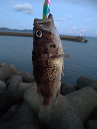 釣果