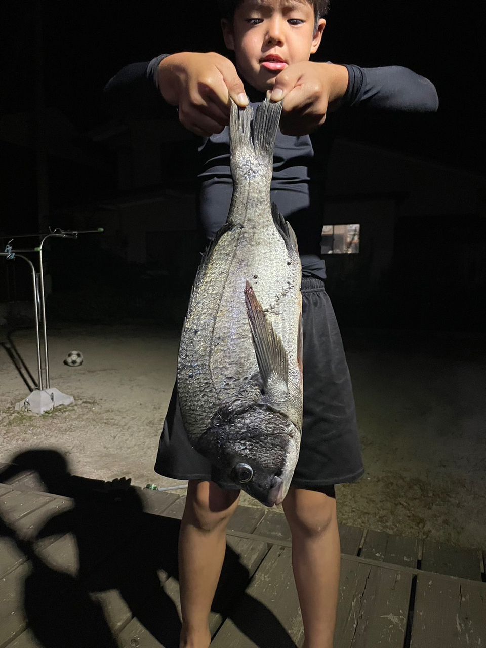 チヌの釣果写真