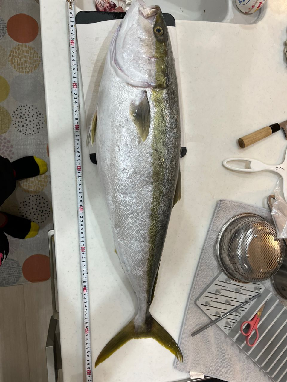 マックダディさんの釣果 2枚目の画像