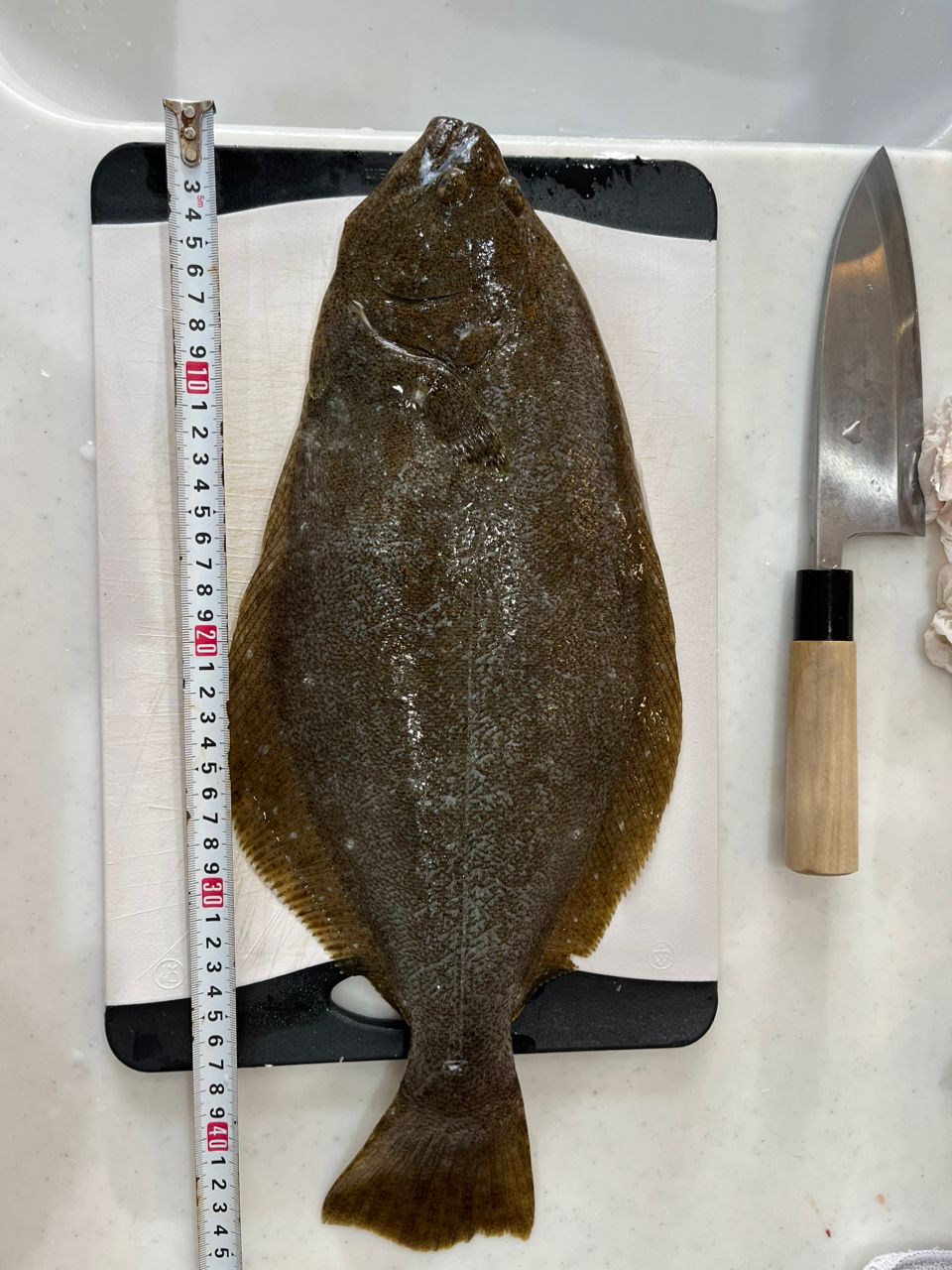 マックダディさんの釣果 3枚目の画像