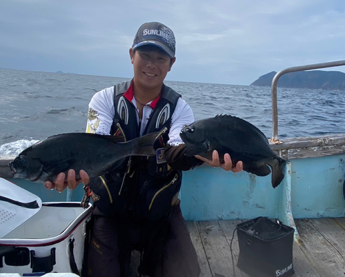 クチブトグレの釣果