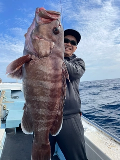 マハタの釣果