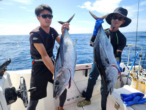 ビンチョウマグロの釣果