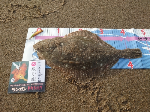 イシガレイの釣果