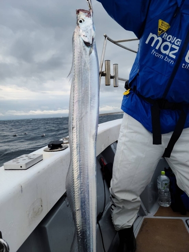 タチウオの釣果