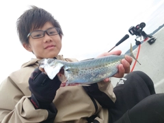 マサバの釣果