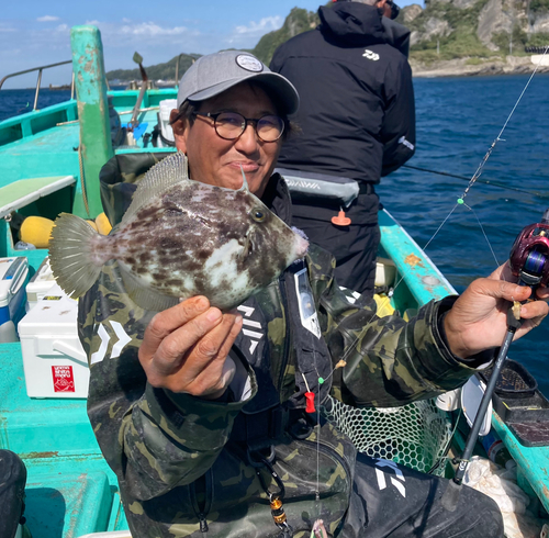 カワハギの釣果