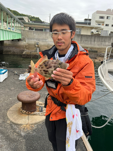 カワハギの釣果