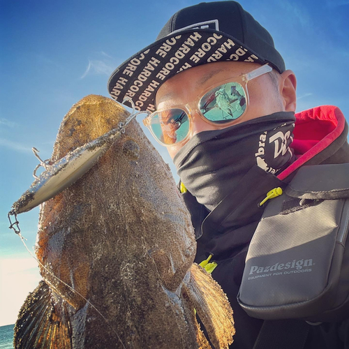 マゴチの釣果