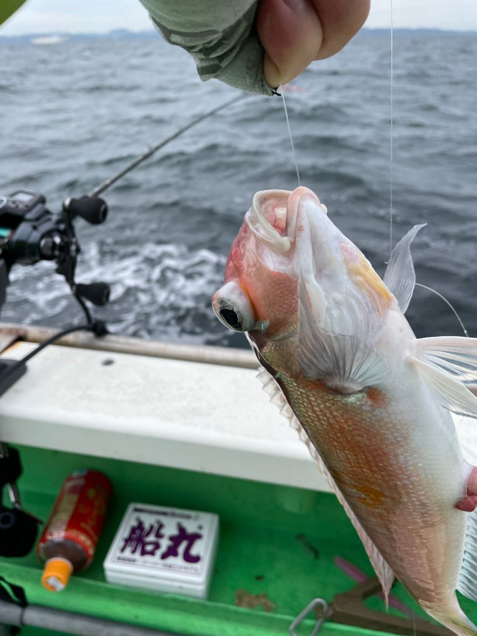 魚喰いさんの釣果 2枚目の画像