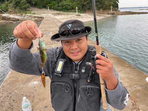 アナハゼの釣果