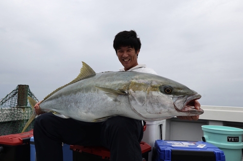 ヒラマサの釣果