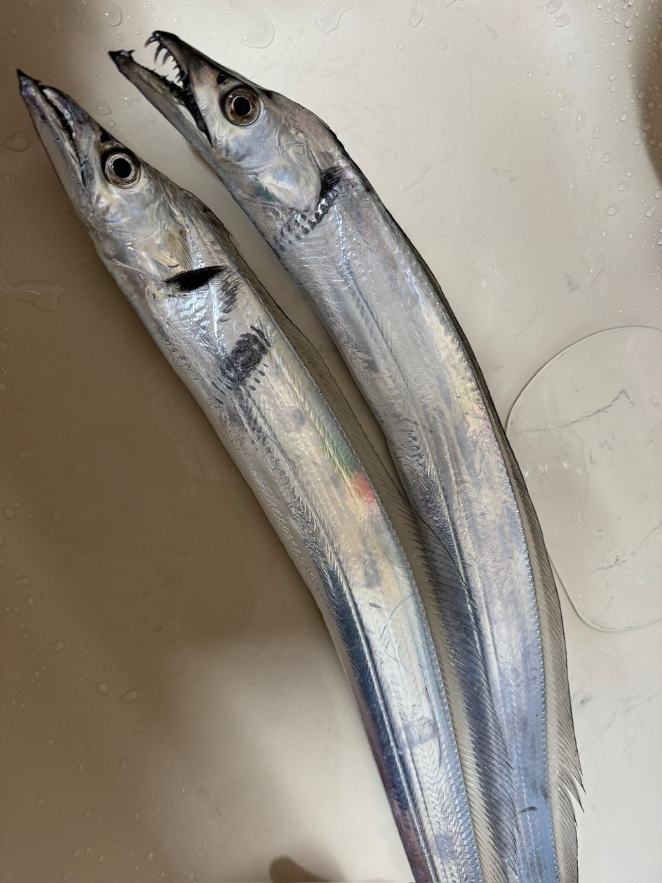 Gamakatsu がまかつ ドラゴンライズ S96Mの最安値・インプレ・釣果