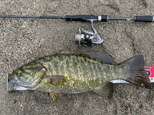 スモールマウスバスの釣果