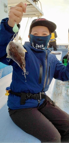 ショウサイフグの釣果