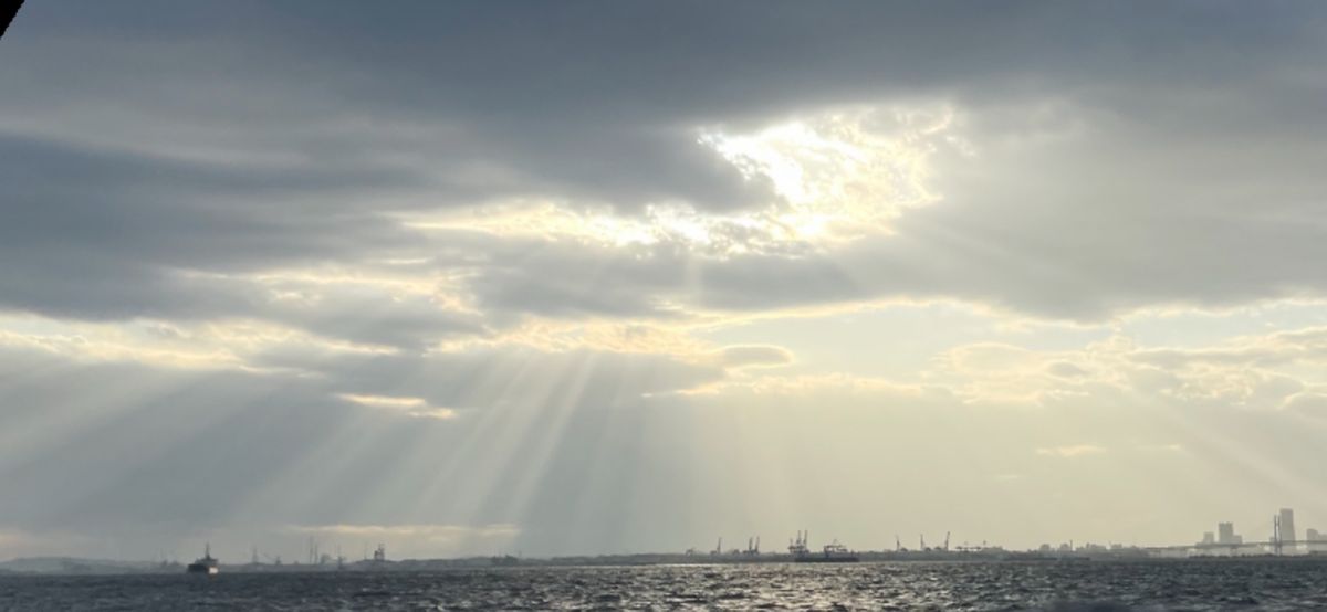 コッスーFさんの釣果 3枚目の画像