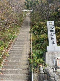 シロザケの釣果