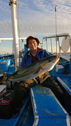 ヒラマサの釣果