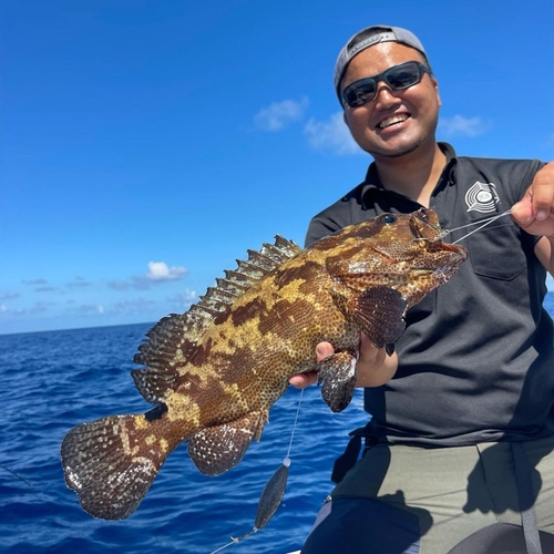 アカジンミーバイの釣果