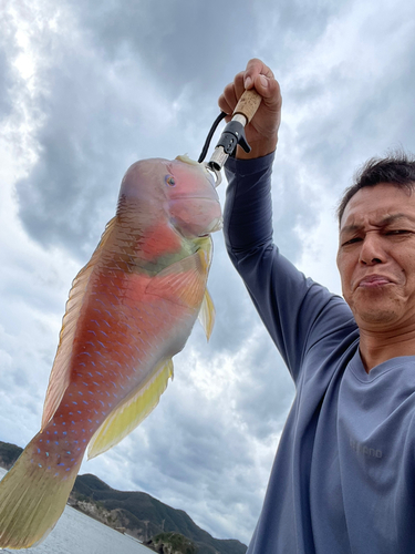 イラの釣果