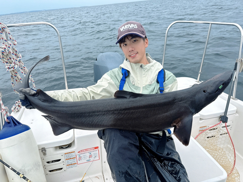 ユメザメの釣果