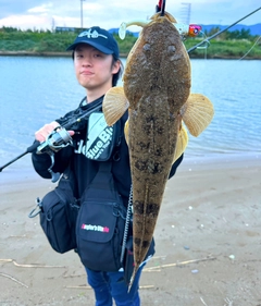 マゴチの釣果