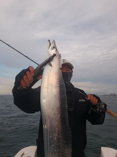 タチウオの釣果