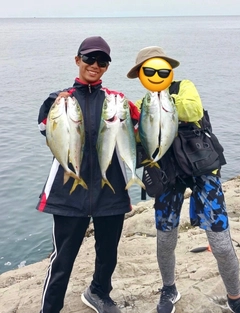 イナダの釣果