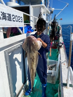 タラの釣果