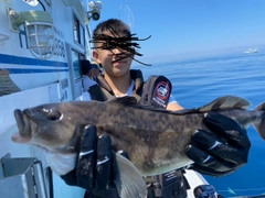 ホッケの釣果